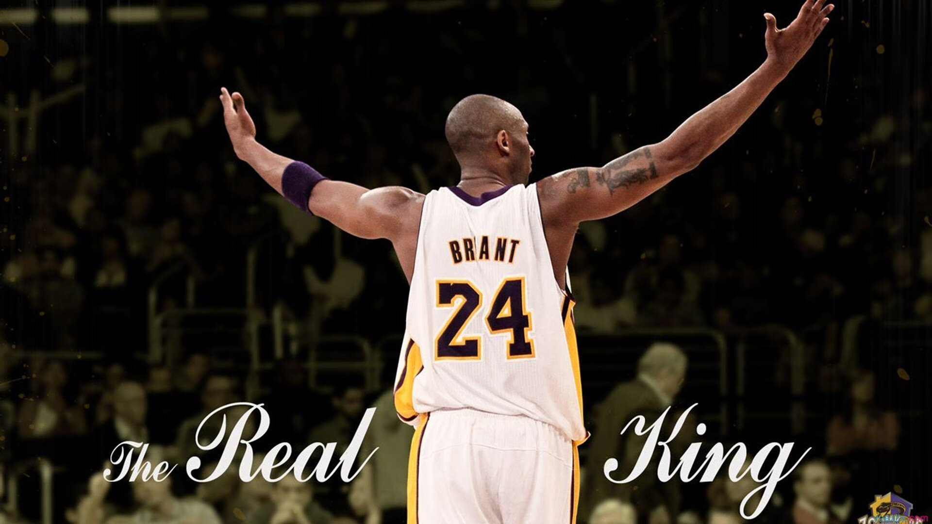 澳网男单决赛：澳洲猛将重返巅峰，精彩纷呈！，澳网男单决赛前瞻